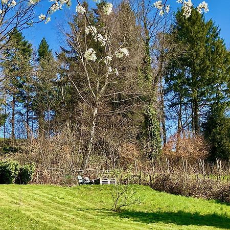 Multi-Fewo Haus Weinberg-Idyll Ferienwohnung Weinberg-Idyll 2 林道 外观 照片