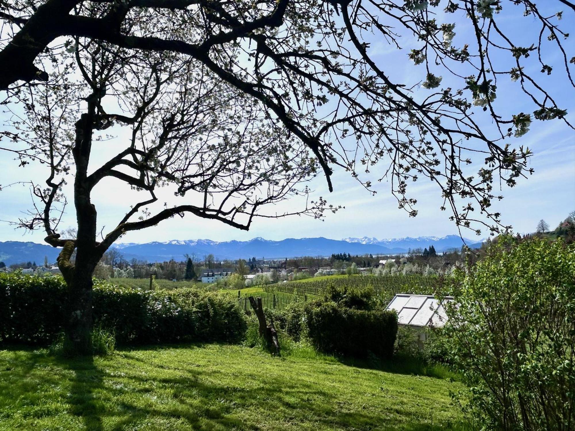 Multi-Fewo Haus Weinberg-Idyll Ferienwohnung Weinberg-Idyll 2 林道 外观 照片